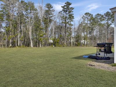 New construction Single-Family house 386 Spruce Ivy St, Moncks Corner, SC 29461 null- photo 3 3