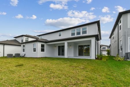 New construction Single-Family house 7819 Notched Pine Bnd, Wesley Chapel, FL 33545 Windsor- photo 151 151