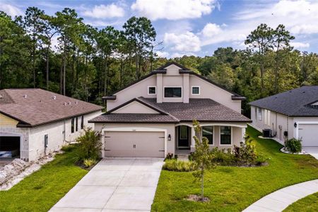 New construction Single-Family house 11468 Weaver Hollow Rd, New Port Richey, FL 34654 Siena- photo 0 0