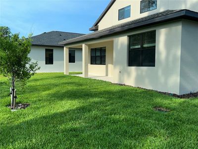 New construction Single-Family house 11468 Weaver Hollow Rd, New Port Richey, FL 34654 Siena- photo 73 73