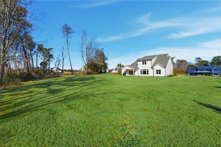New construction Single-Family house 158 Palisade Dr, Rydal, GA 30171 - image 3