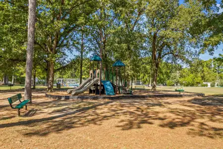 New construction Single-Family house 11380 Underwood St, Willis, TX 77318 - image 10