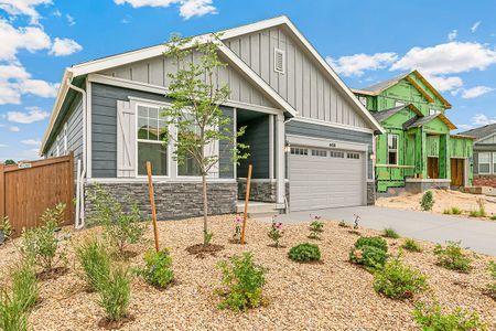 New construction Single-Family house 4438 Soapberry Pl., Castle Rock, CO 80108 - photo 0