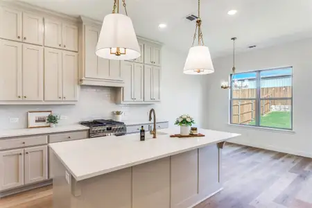 New construction Single-Family house 274 Observation Dr N, Aledo, TX 76008 - image 6