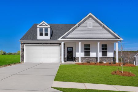 New construction Single-Family house 3014 Snail Seed Trl, Lexington, SC 29073 plan The Easton - image