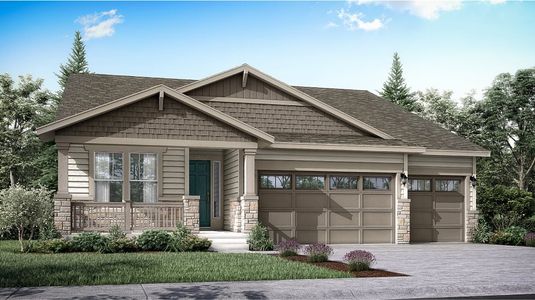 New construction Single-Family house 4082 Buttongrass Trl, Castle Rock, CO 80108 plan Davis - image