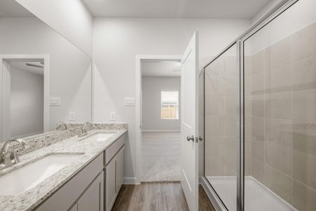 New construction Single-Family house 26123 Venus Trap Trl, Katy, TX 77493 plan Lexington - image 3