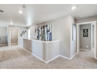 New construction Single-Family house 4113 Marble Dr, Mead, CO 80504 null- photo 19 19