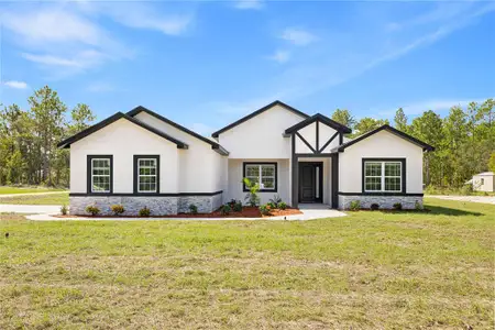 New construction Single-Family house 8130 Sw 135Th Ave, Dunnellon, FL 34432 - image