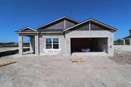 New construction Single-Family house 31229 Denham Ridge Ln, Wesley Chapel, FL 33545 Newport II- photo 18 18