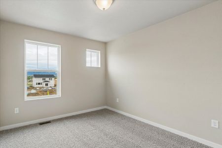 New construction Single-Family house 9695 Blaurock Dr, Fountain, CO 80817 plan Olive - image 12