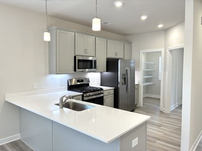 New construction Single-Family house 247 Taylor Woods Ct, Greenville, SC 29607 plan The Princeton A - image 5