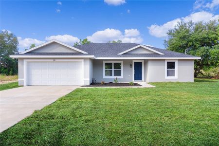 New construction Single-Family house 38 Malauka Drive, Ocklawaha, FL 32179 - photo 0