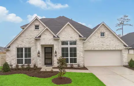 New construction Single-Family house 38688 Night Brood Ct, Magnolia, TX 77354 plan 3546AU - image