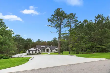 New construction Single-Family house 13010 Royal Hill Ct, Montgomery, TX 77316 - image