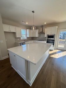 New construction Single-Family house 3342 Wild Clary Ct, Buford, GA 30519 - image