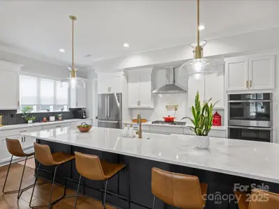 New construction Single-Family house 13627 Tranquil Day Dr, Matthews, NC 28105 - image 20