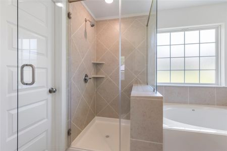 New construction Single-Family house 3710 Youpon Ln, Huntsville, TX 77340 plan The 1613 - image 11