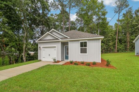 New construction Single-Family house 1000 Buggs Ln, Lincolnville, SC 29485 - image