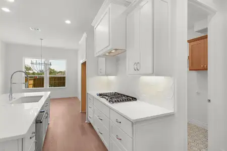 New construction Single-Family house 101 Buckaroo Dr, Georgetown, TX 78633 plan Dublin - image 6