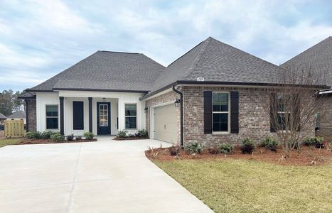 New construction Single-Family house 189 Lumen Lp, Freeport, FL 32439 plan Henri III G - image