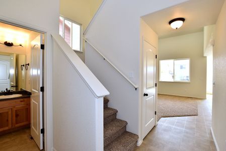 New construction Single-Family house 437 Vivid Ln, Windsor, CO 80550 null- photo 22 22