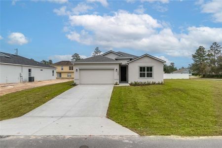 New construction Single-Family house 8980 Sw 133Rd Lane, Ocala, FL 34473 - photo 0