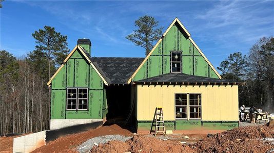 New construction Single-Family house 0 Forest Berry Ct, Newnan, GA 30265 - image 4