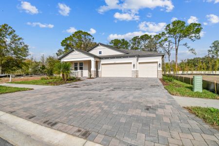 New construction Single-Family house 20219 Oriana Loop, Land O' Lakes, FL 34638 Corina  III- photo 115 115