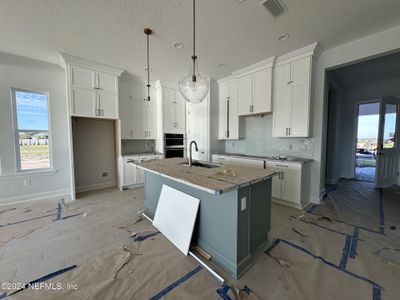 New construction Single-Family house 522 Maralinda Drive, Saint Augustine, FL 32095 Tocoi- photo 18 18