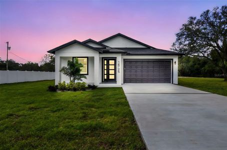 New construction Single-Family house 14726 Elmont, Spring Hill, FL 34610 - image
