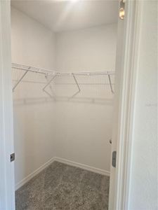 Delaney Reserve by Hartizen Homes in Deland - photo 30 30