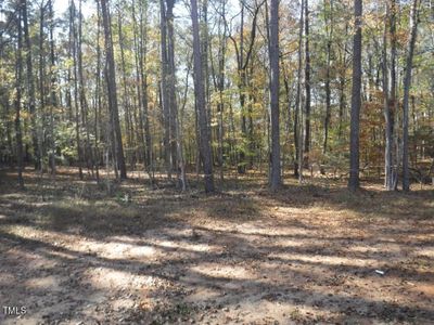 New construction Single-Family house 330 Hidden Lake Drive, Youngsville, NC 27596 - photo 18 18