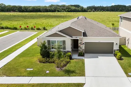 New construction Single-Family house 6359 Burning Opal Bnd, Land O' Lakes, FL 34638 - image