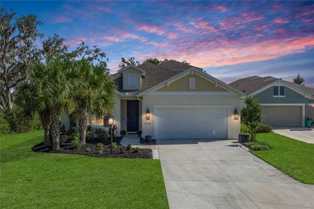 New construction Single-Family house 4446 Rustling Pines Ter, Parrish, FL 34219 - image