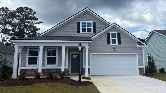 New construction Single-Family house 2072 Marietta Cir Nw, Ash, NC 28420 plan Dover - image