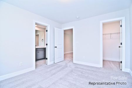 New construction Single-Family house 4178 Millstream Rd, Denver, NC 28037 - image 17