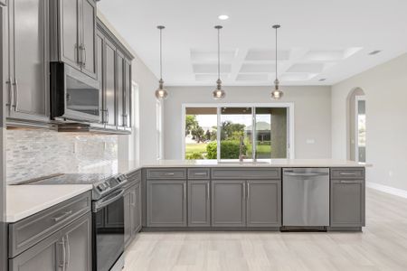 New construction Single-Family house 51 E Diamond Dr, Palm Coast, FL 32164 plan Birkdale - image 8