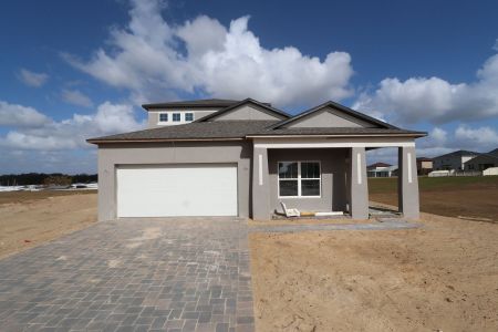 New construction Single-Family house 38357 Palomino Dr, Dade City, FL 33525 Picasso Bonus- photo 7 7