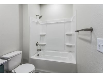 New construction Single-Family house 872 Trumpet Ct, Windsor, CO 80550 plan Christie - image 11