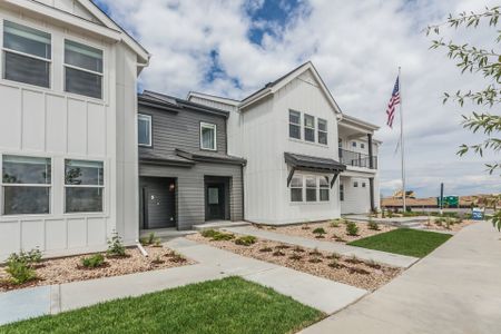 New construction Condo/Apt house 505 N Aria Way, Fort Collins, CO 80524 - photo 4 4