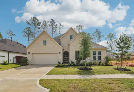 New construction Single-Family house 29730 Shady Glade Ln, Magnolia, TX 77354 plan 5042 Elevation D - image