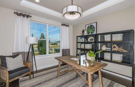 Vida's Way by Pulte Homes in Zephyrhills - photo 36 36