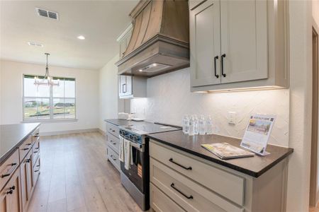 New construction Single-Family house 1033 Lilly Ln, Peaster, TX 76088 - image 7