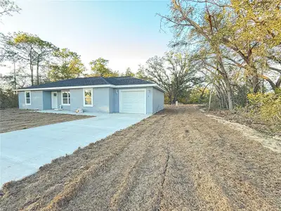 New construction Single-Family house 9 Malauka Cir, Ocklawaha, FL 32179 - image