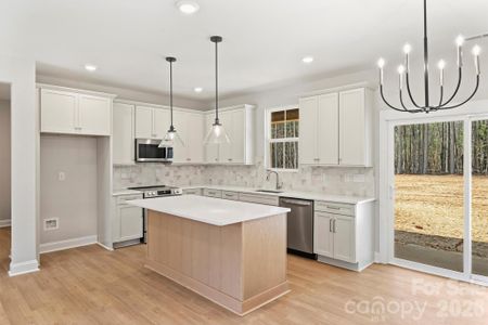 New construction Single-Family house 2279 Lee Lawing Rd, Lincolnton, NC 28092 - image 6