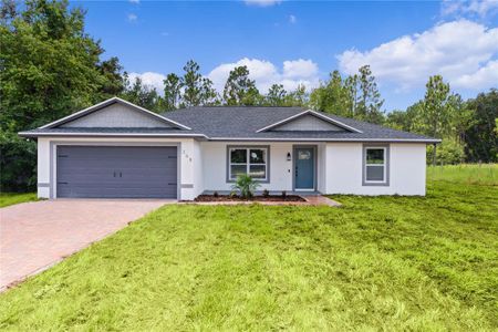 New construction Single-Family house 368 Malauka Loop, Ocklawaha, FL 32179 - photo 0