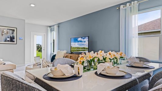 New construction Single-Family house 423 Warm Heron Pl, Ruskin, FL 33570 plan Harper - image 13