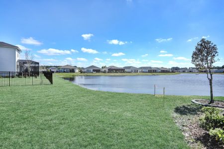 New construction Single-Family house 50 Rustic Mill Dr, St. Augustine, FL 32092 plan Drayton - 43' Homesites - image