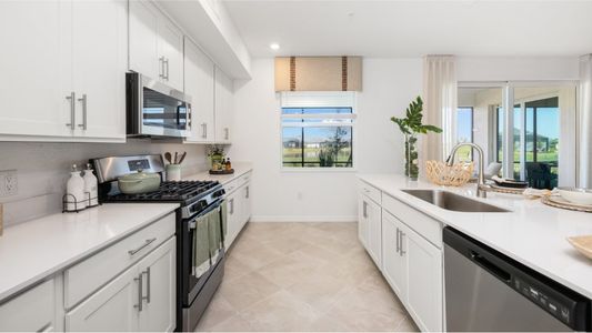 Webbs Reserve: Coach Homes 19